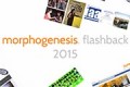 December 2015, morphogenesis flashback