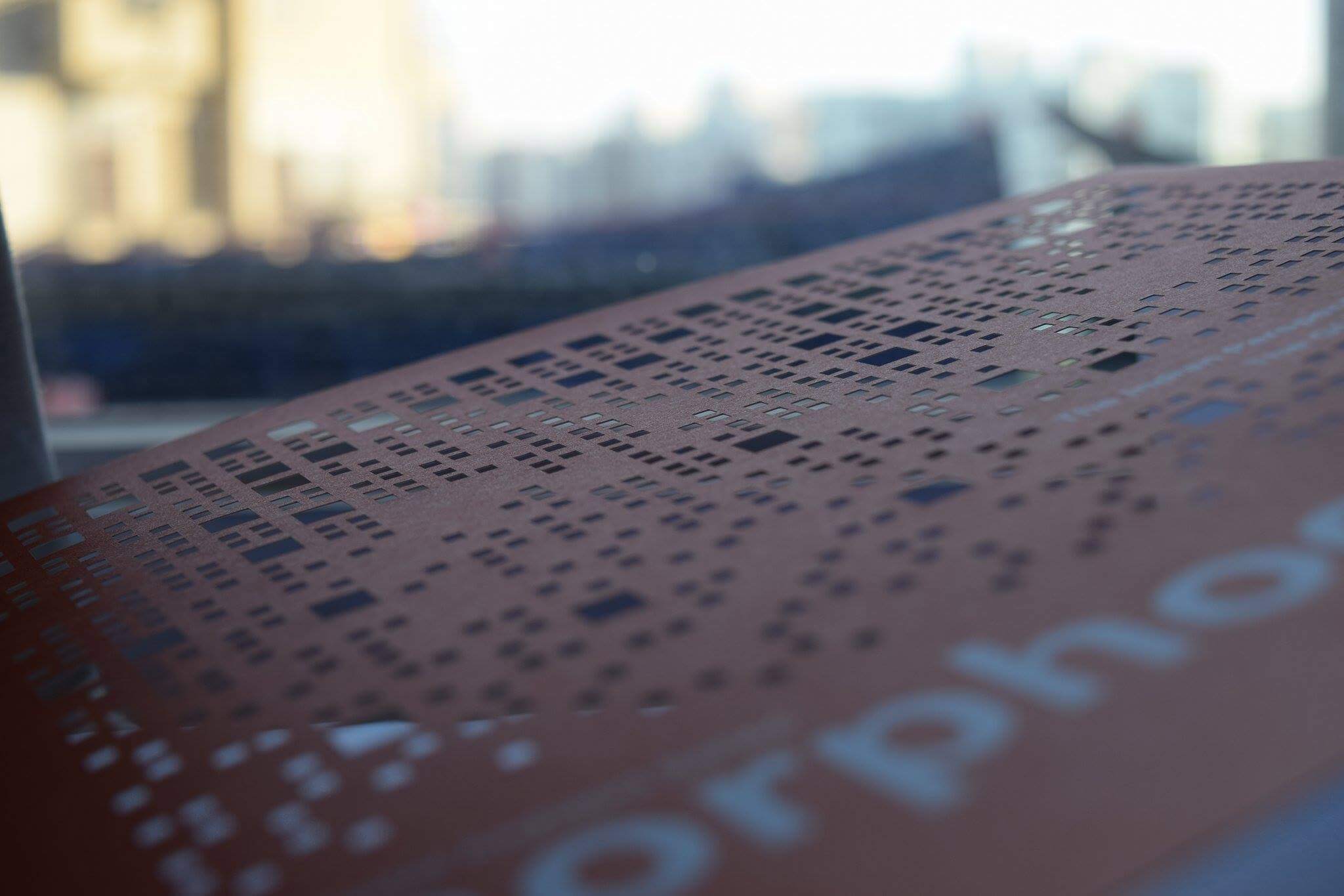 morphogenesis monograph (2)
