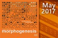 3 May 2017 - Morphogenesis Newsletter 120X80