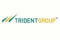 trident new project 120X80