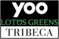 new contract tribeca, yoo, lotus120X80