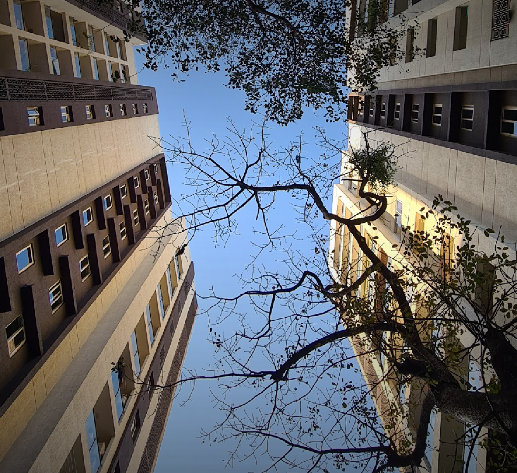 Mahindra Vivante & Vicino