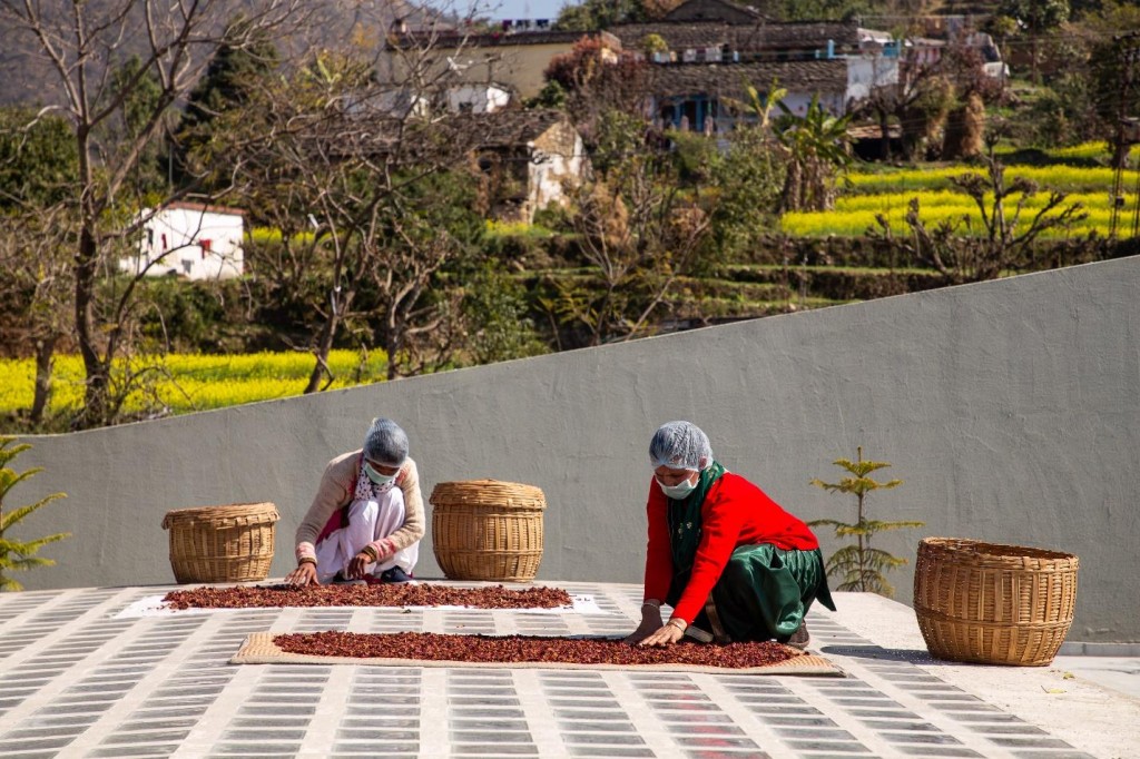 Employees utilizing the terrace with ample natural light for drying herbs