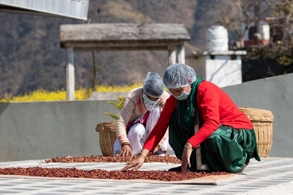 2 of the 65 local workers drying flower petals on the roof.