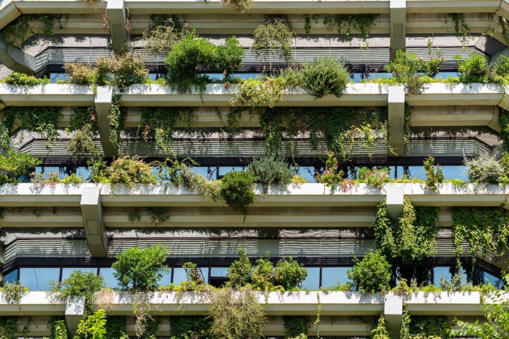 Aesthetic and functional art in green building design