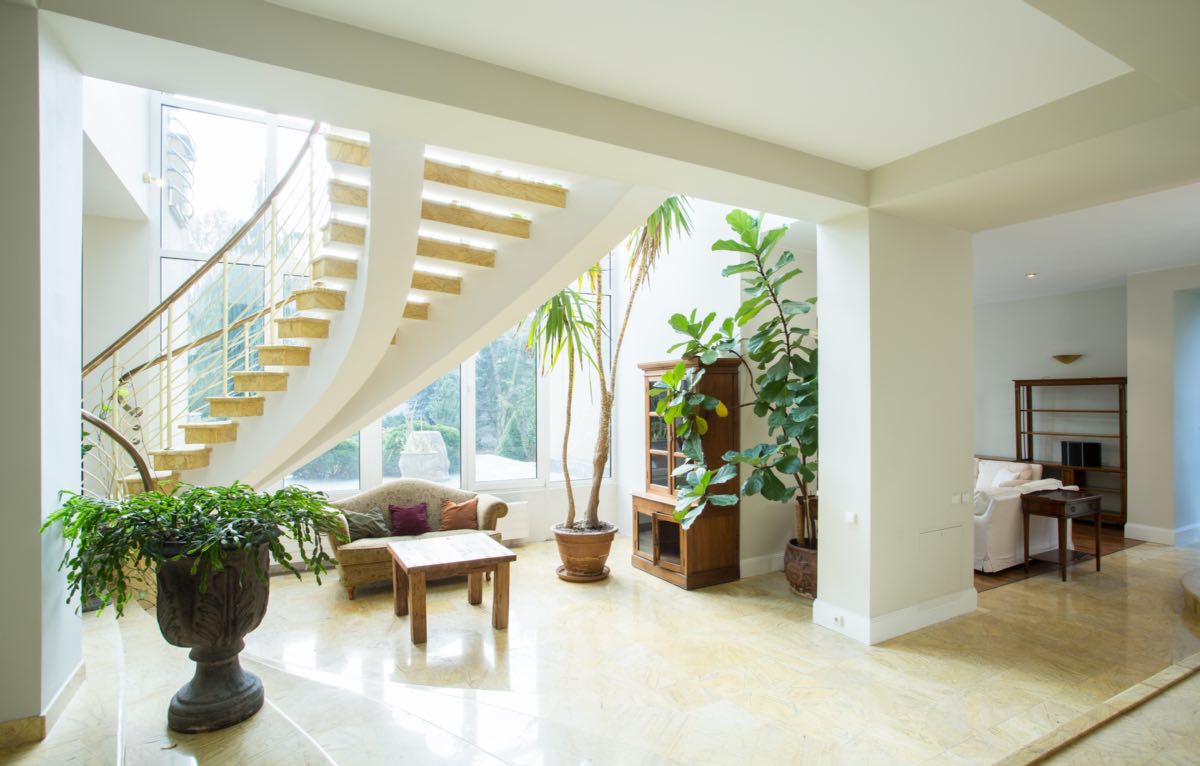 Vastu Shastra vs Feng Shui