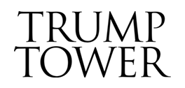Morphogenesis Image