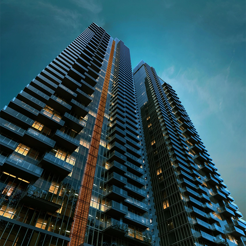 Morphogenesis Image