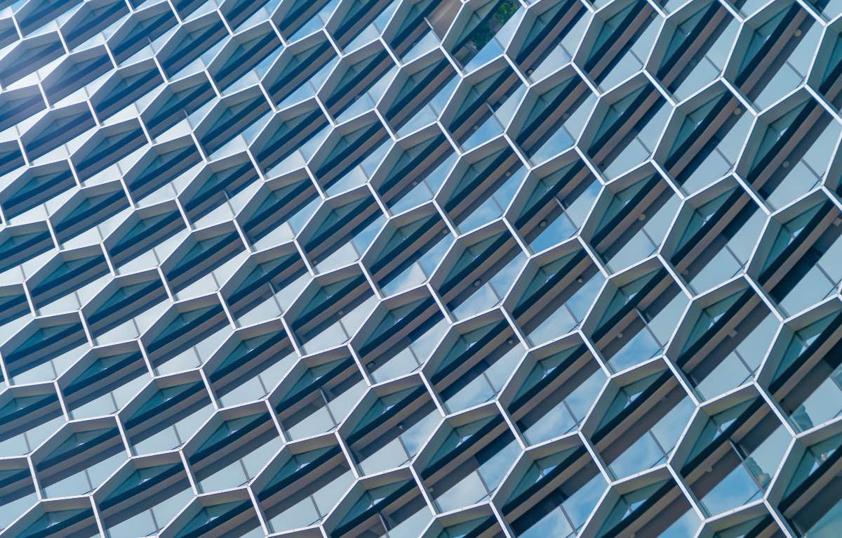 Morphogenesis Image