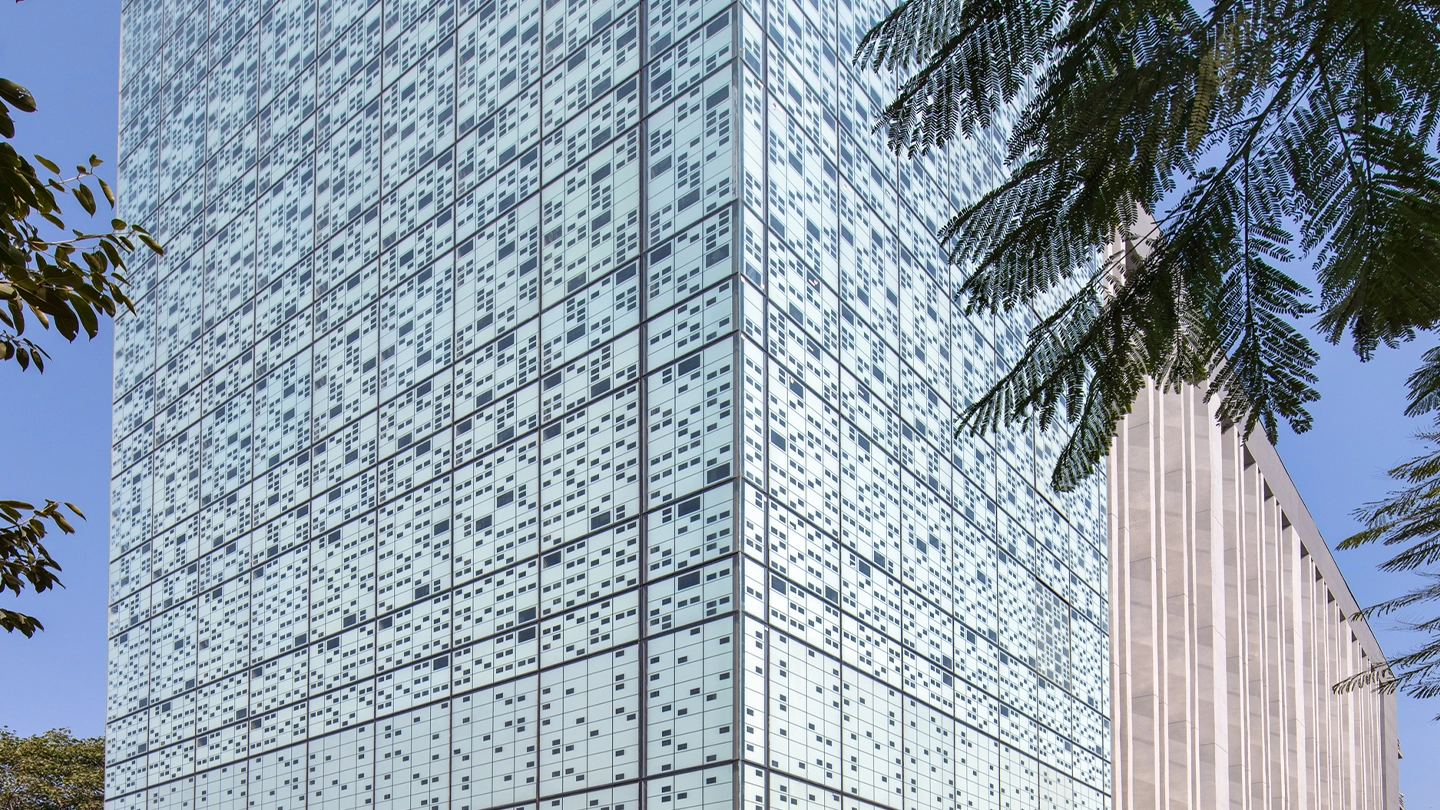 Morphogenesis Image