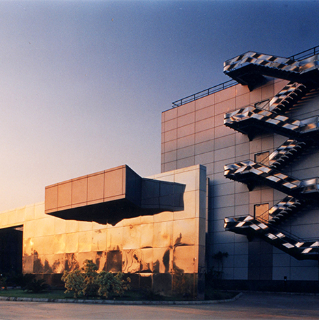 Morphogenesis Image