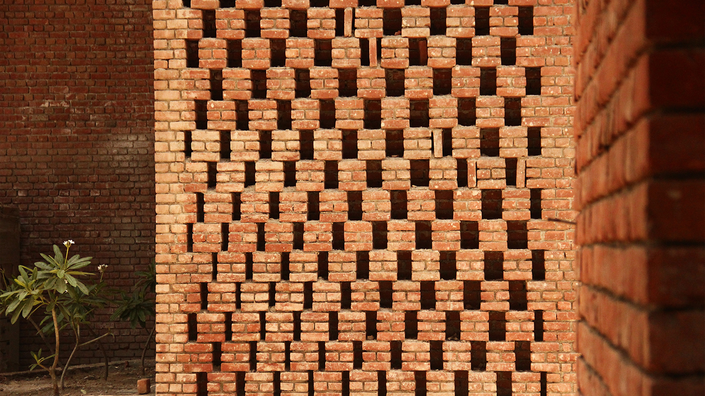 Morphogenesis Image