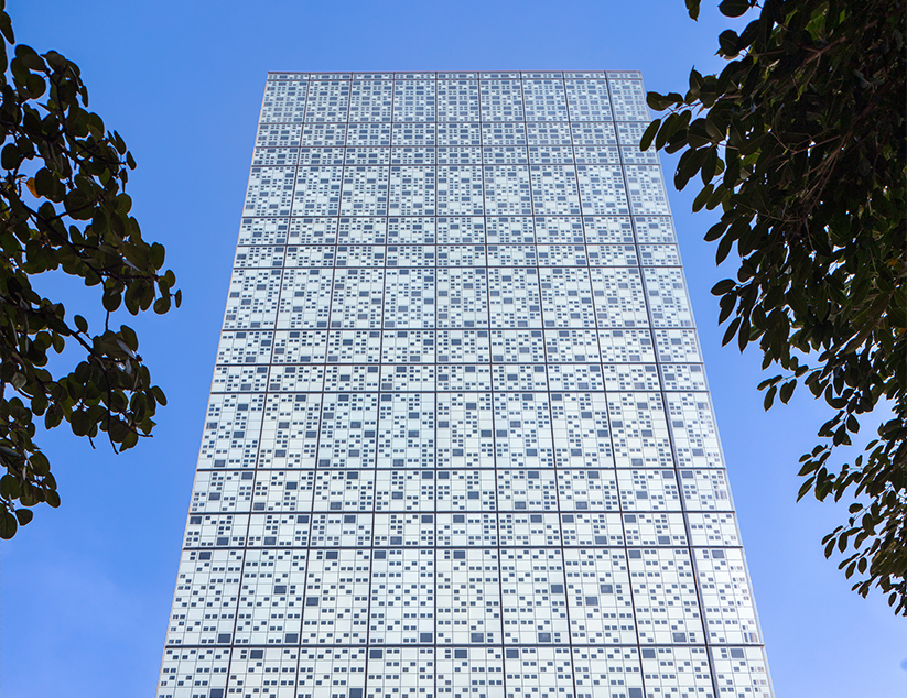 Morphogenesis Image