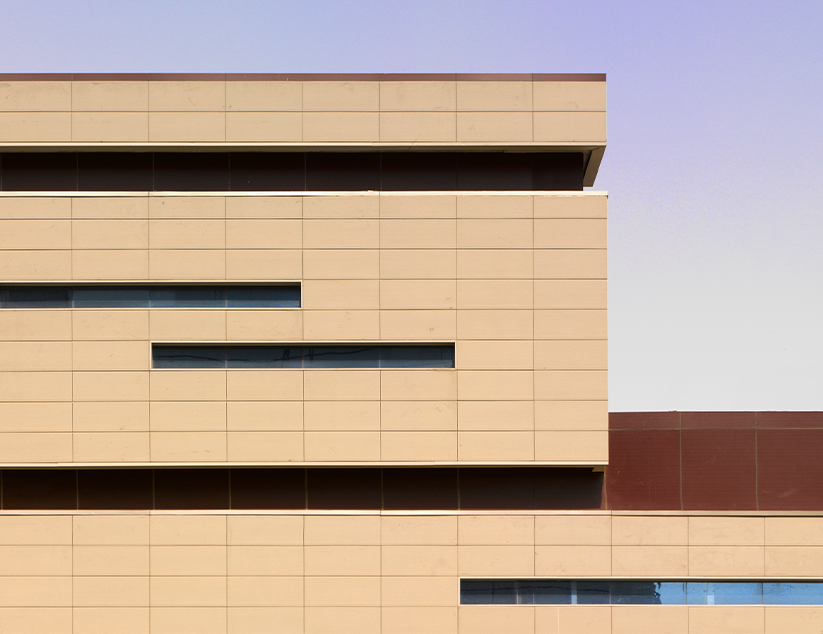 Morphogenesis Image