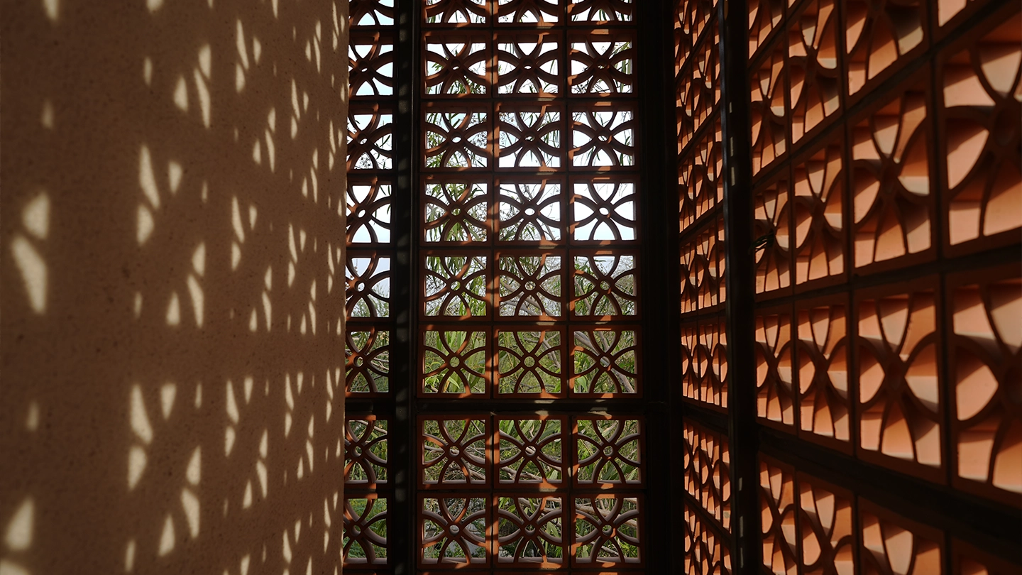 Morphogenesis Image