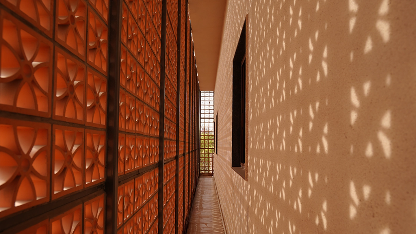 Morphogenesis Image