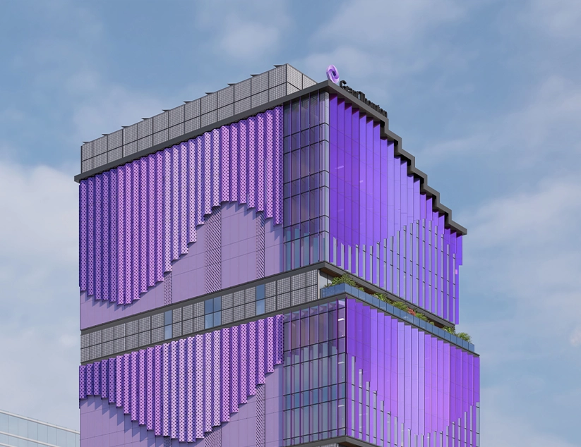 Morphogenesis Image