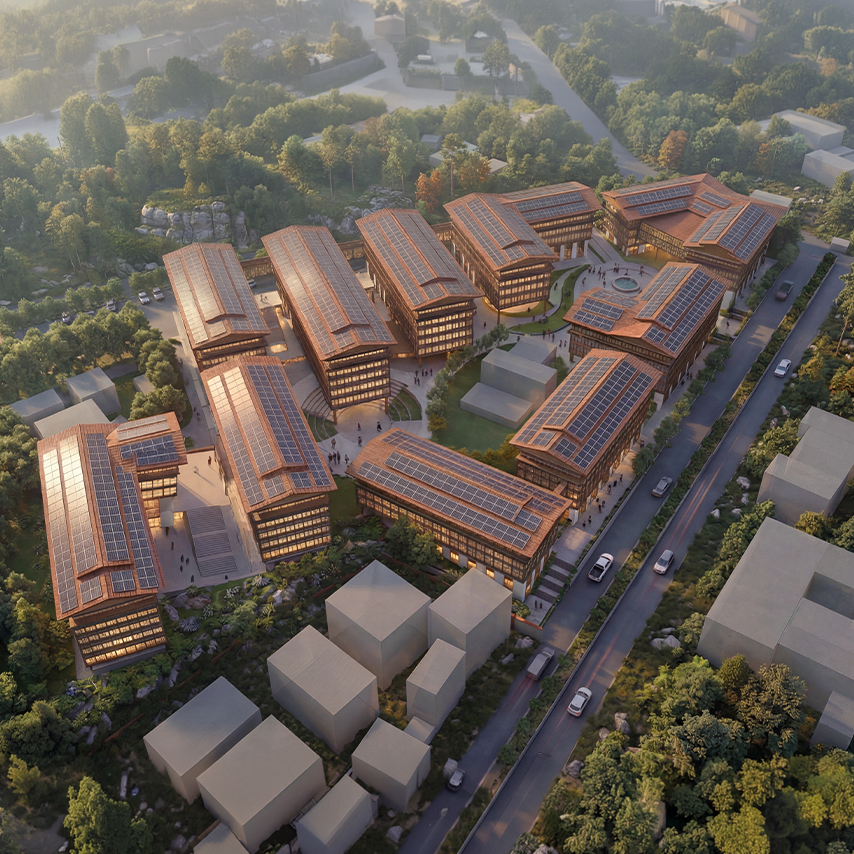 Morphogenesis Image